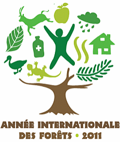 Année internationale des forêts